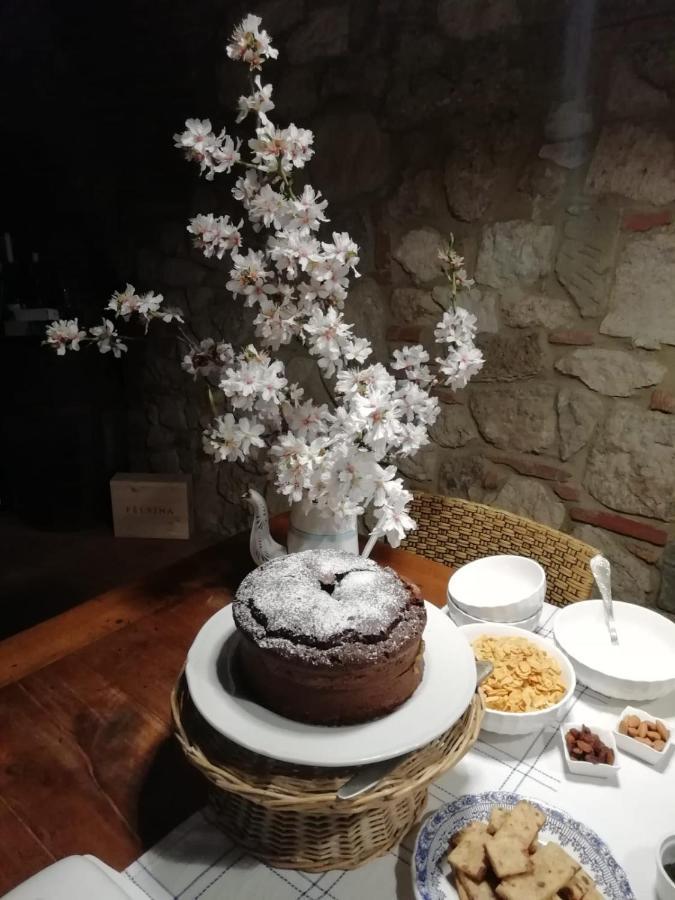 Poesia 74 Bed & Breakfast Rosignano Marittimo Ngoại thất bức ảnh